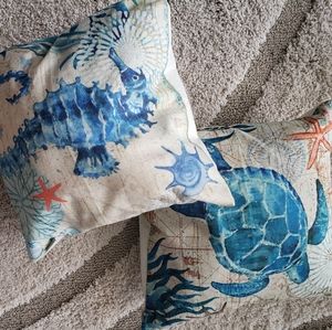 Like new Nautical pillow covers